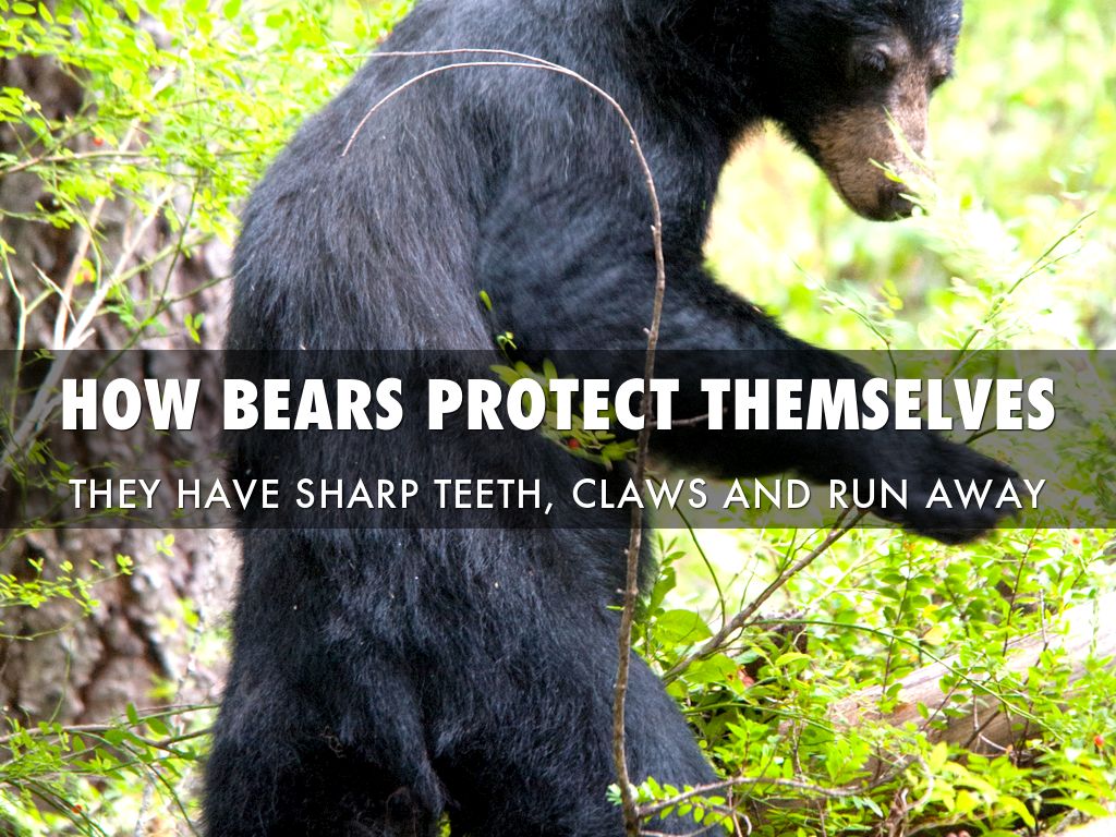 Jaslyn by Ryan Colbett