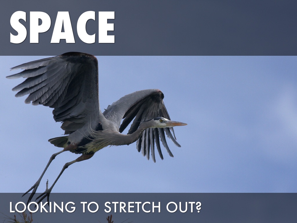 listing presentation