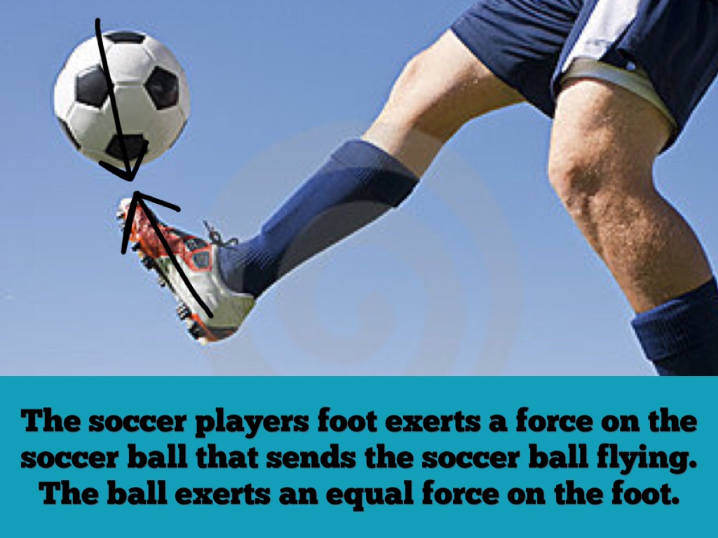 Newton's Laws of Motion by Tara Zandi