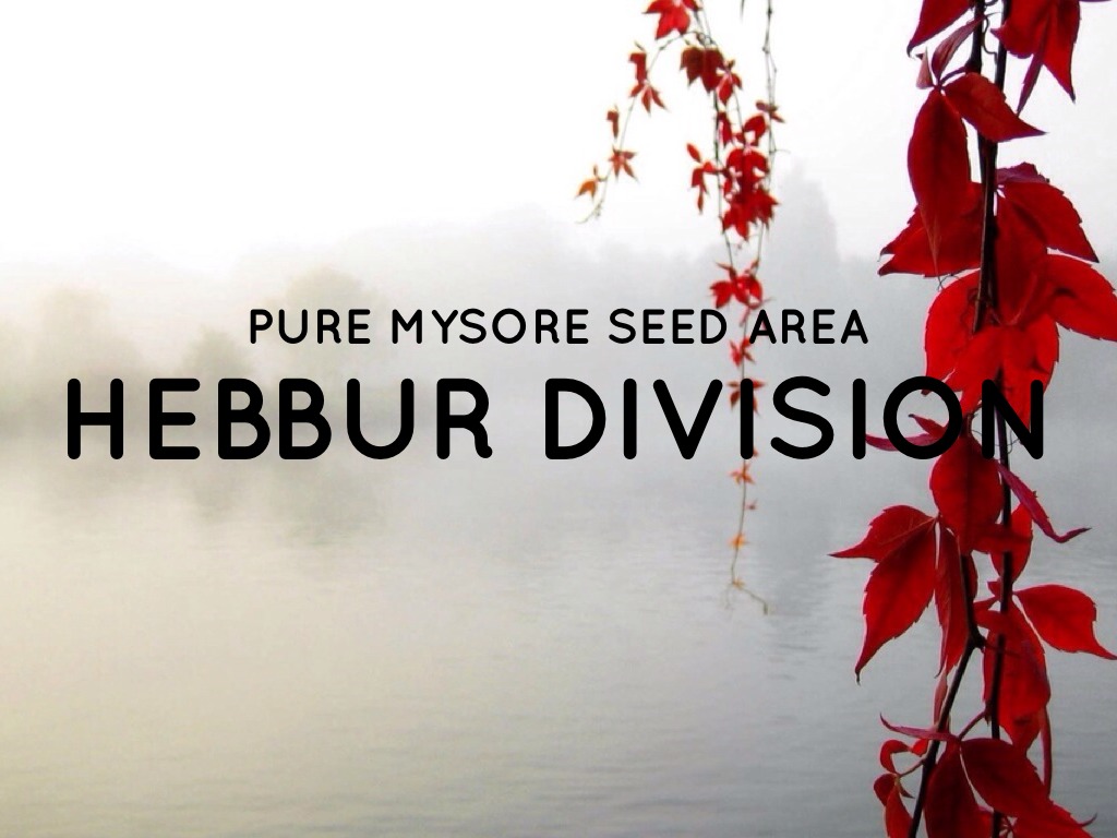 Copy of Hebburr Division