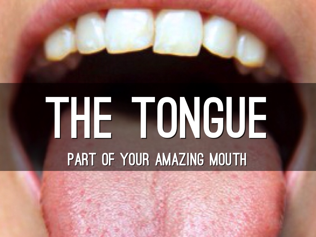 The Tongue 