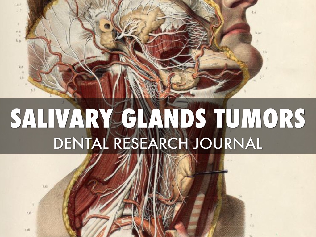 Copia de Nuria Fuster