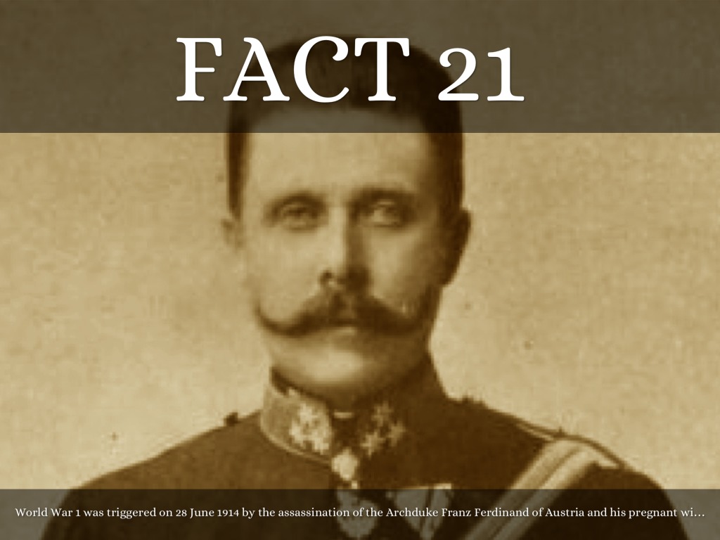 an analysis of the assassination of archduke francis ferdinand triggered world war i an analysis of the assassination of archduke francis ferdinand triggered world war i