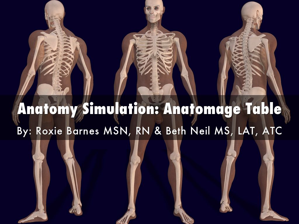 Anatomy Simulation Anatomage Table by Lindsey Eberman