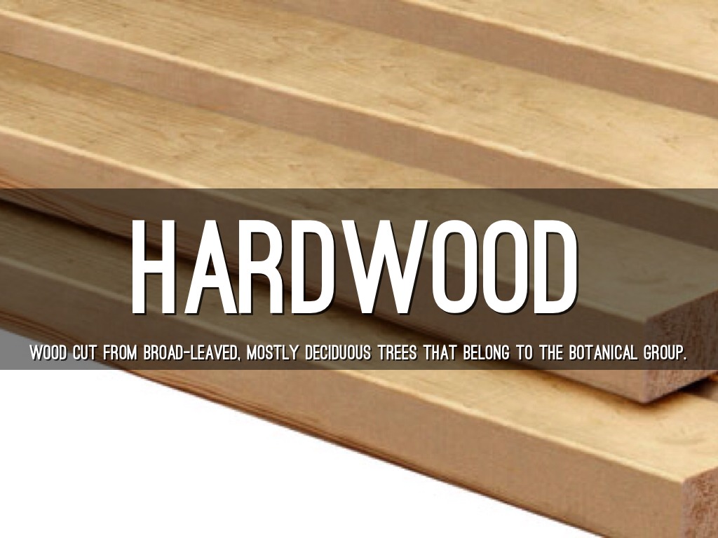 Woodworking Vocabulary by Dara Tor