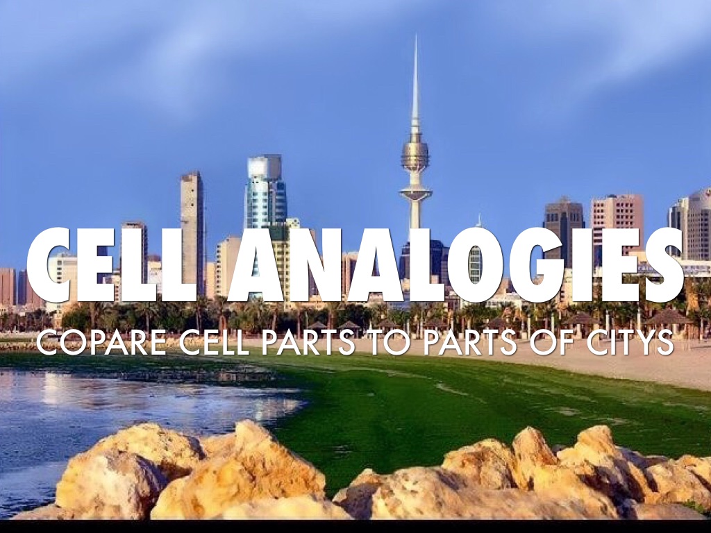 Cell Analogies