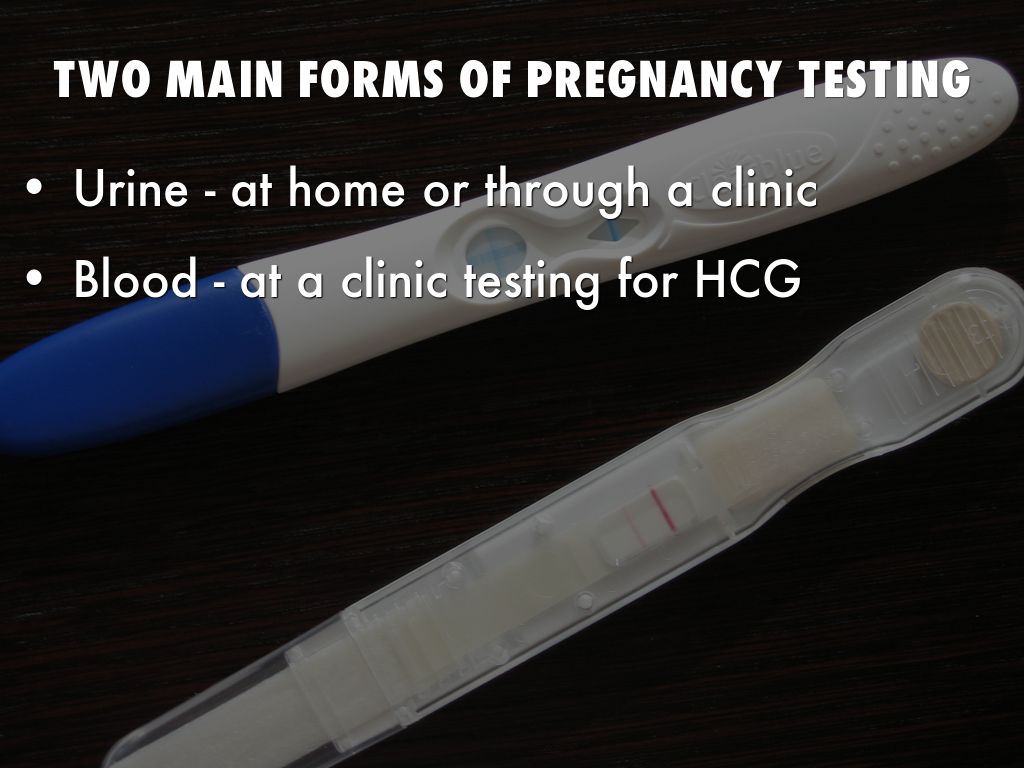 Pregnancy Testing by lhess