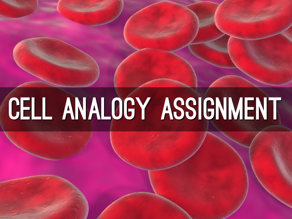 Cell Analogy Assignment