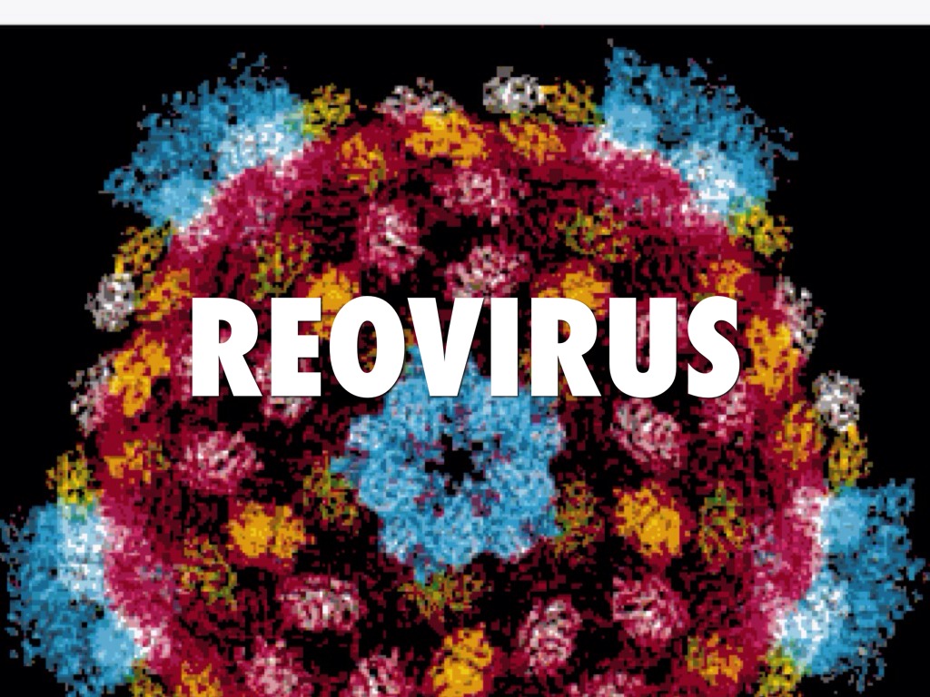 Roevirus