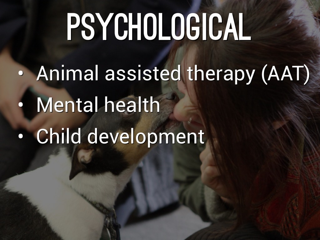 The Beneficial Effects Of Pet Ownership To Humans by