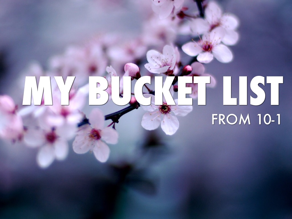 My Bucket List