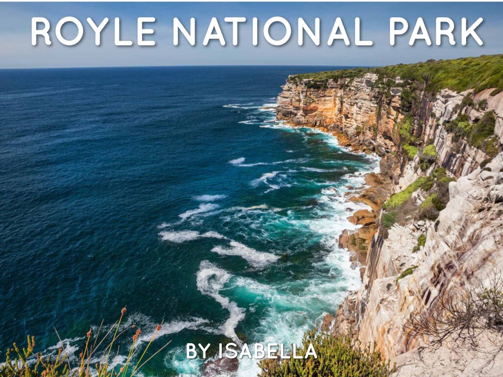 Haiku Deck In Action