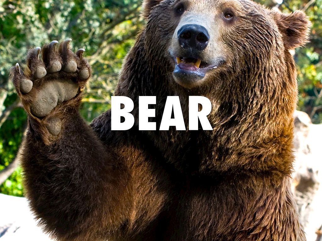 Background Knowledge For Panda