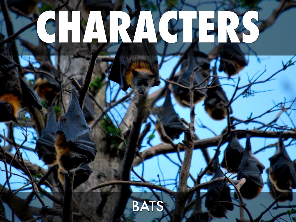 Bats At The BallGame by C Kordek