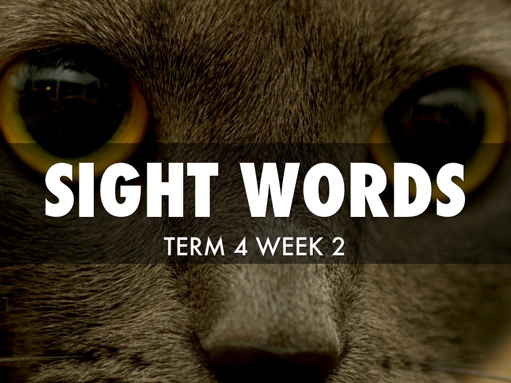 Sight Words T4W2