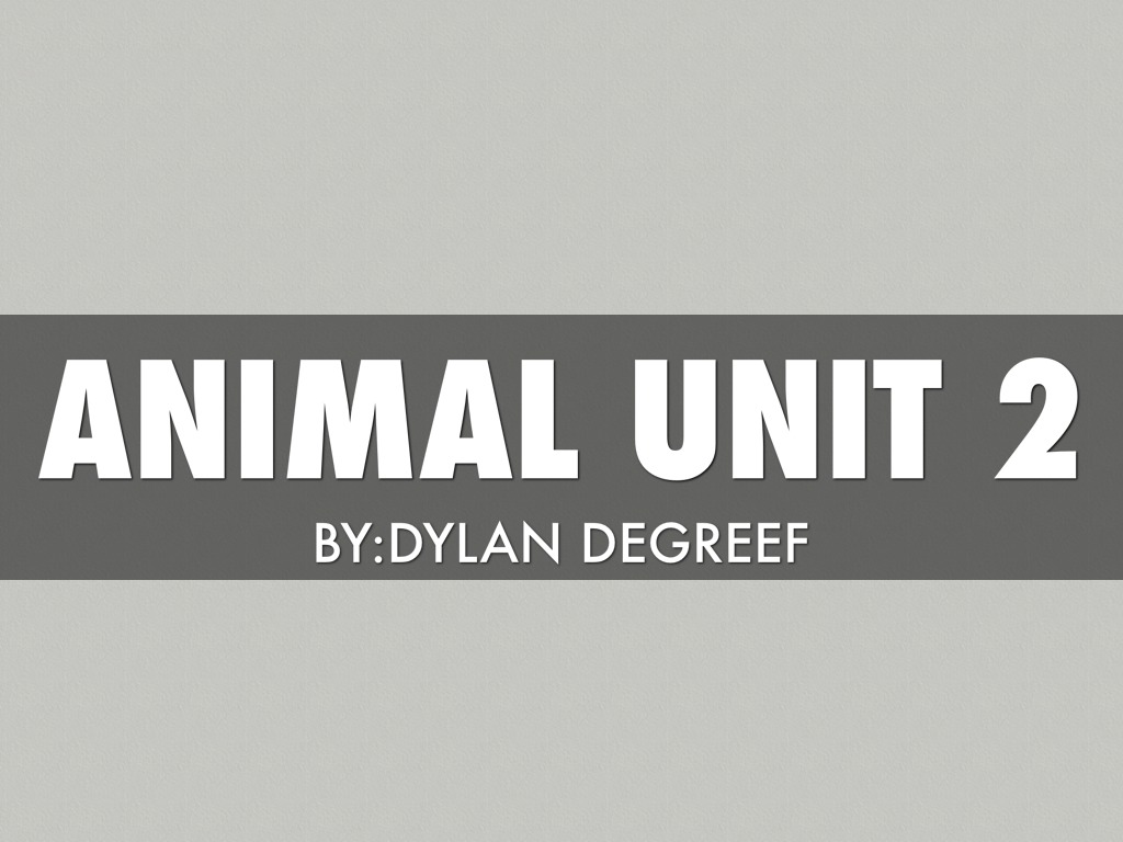 Animal Unit Part 2