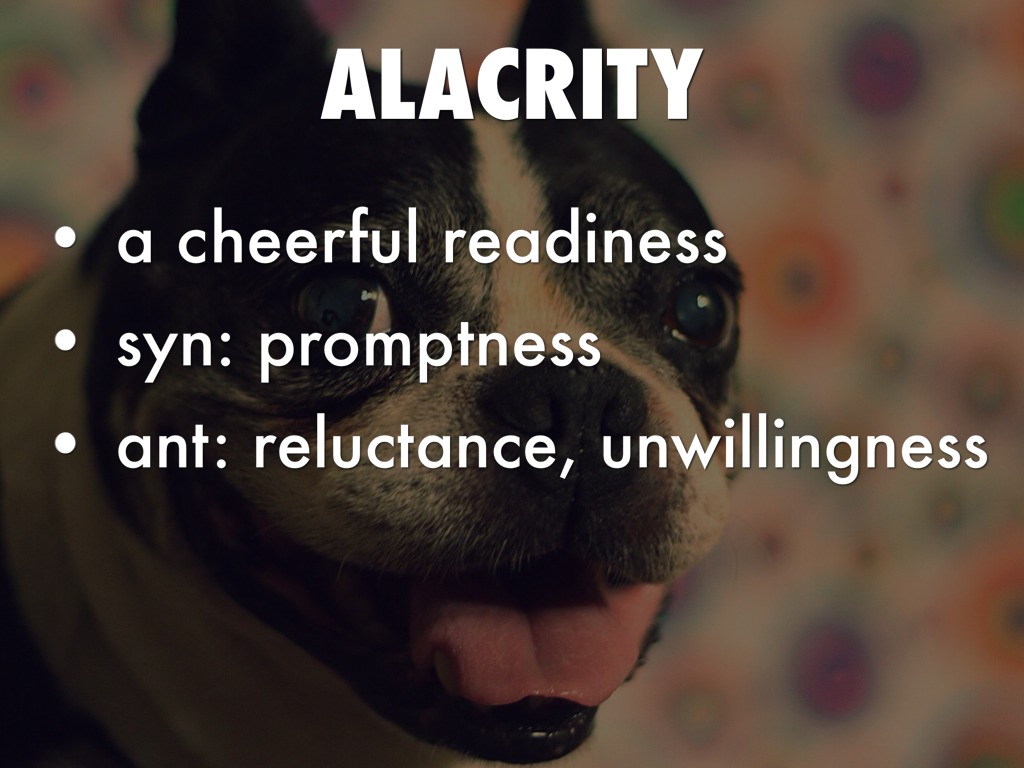 Vocab Unit 14 Zasowski