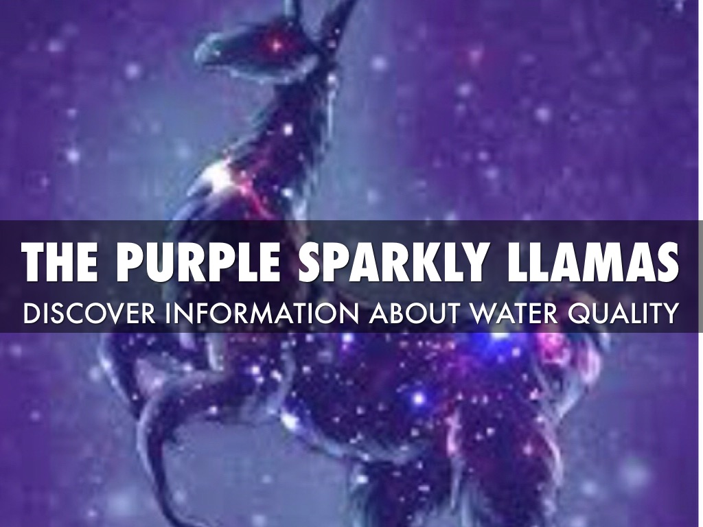 Copy of The Purple sparkly Llamas