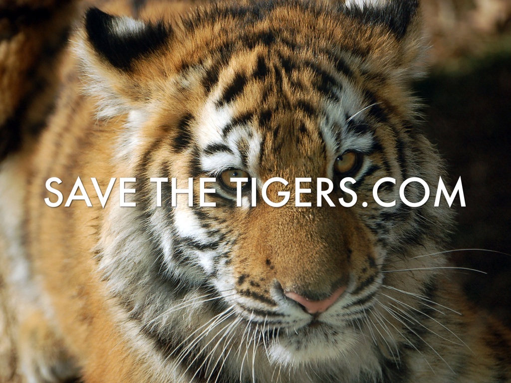 Save the animals.com