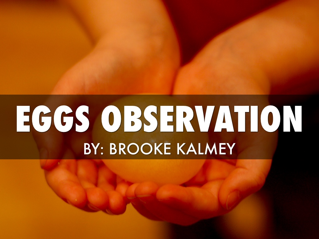 Egg Observation 