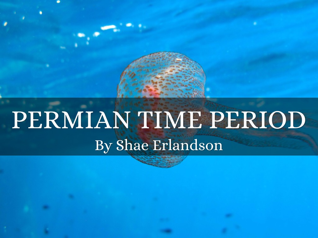 Permian Period by Shae Erlandson