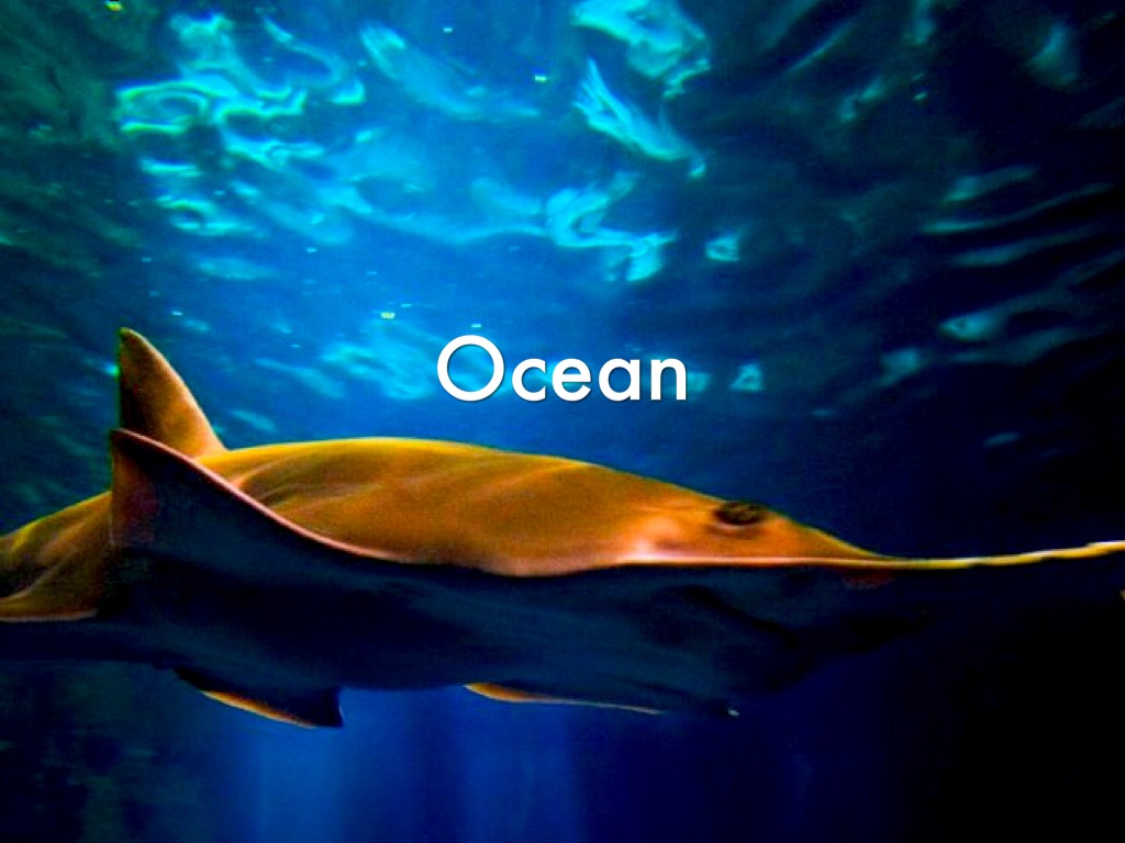 Ocean 