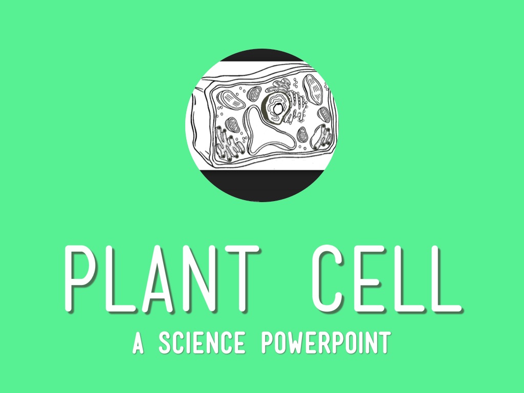 Plant Cell