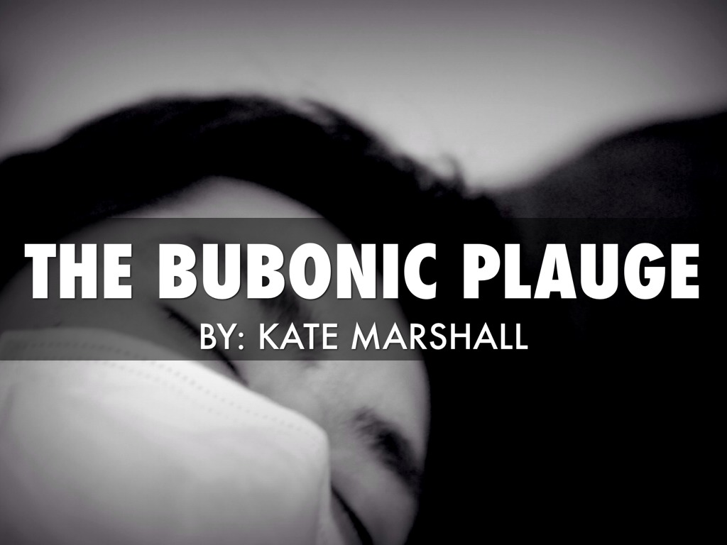 The Bubonic Plague 