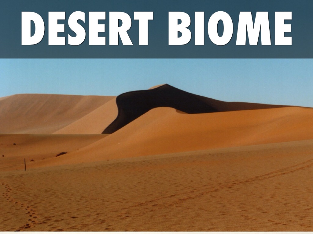 Desert Biome