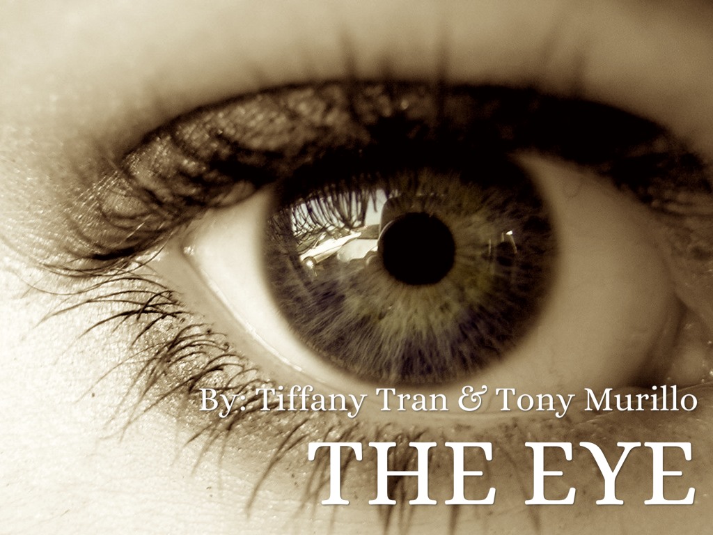 The Eye