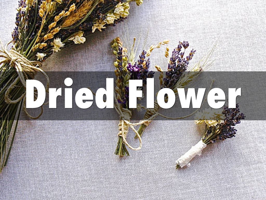 Dried Flower