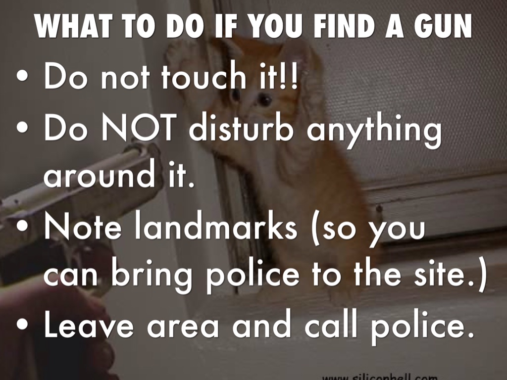 GUN SAFETY by Zoe Hill