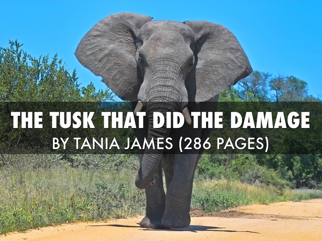 The Tusk That Did The Damage by Felicity Paschen