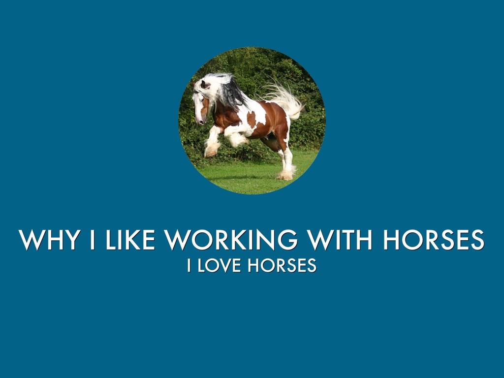 Equestrian Jobs Horse Back Instructor by Angie