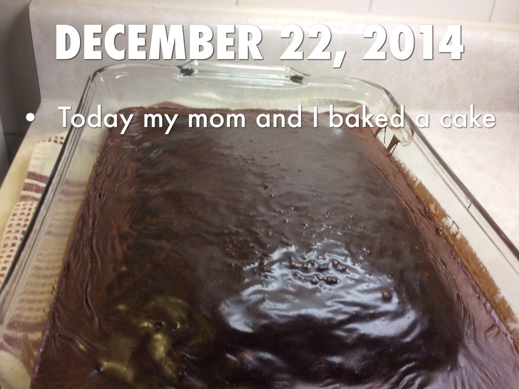    My Christmas Holidays By Stefan Cvejic