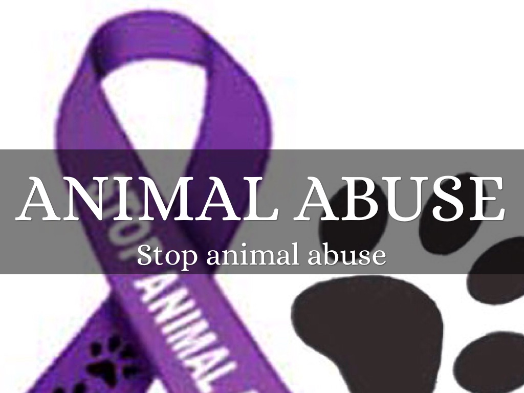 Animal Abuse