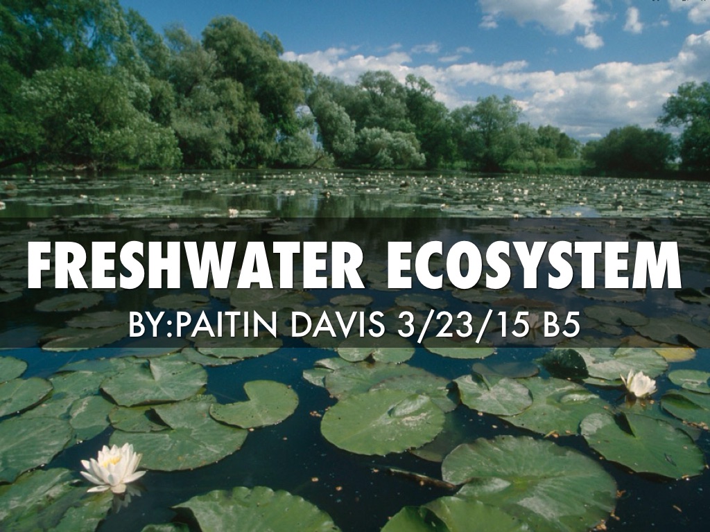 Freshwater Ecosystem