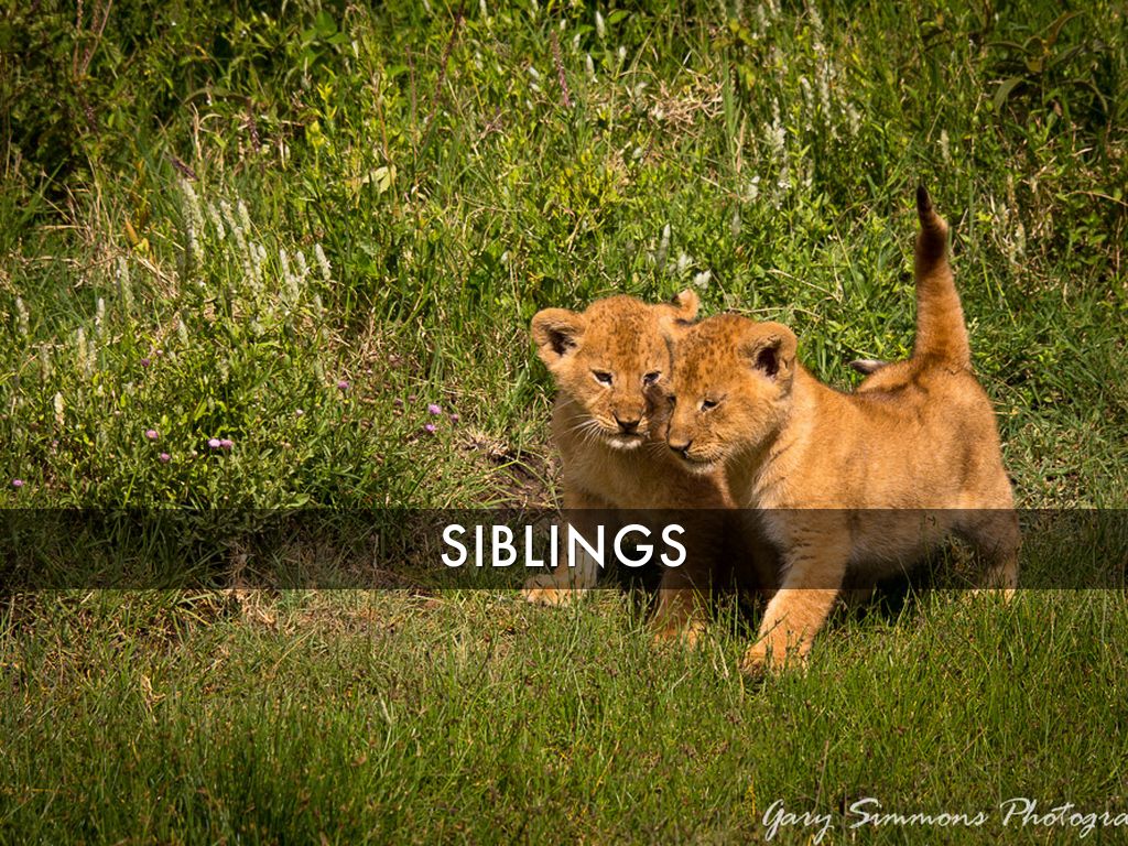 Can-American Relations