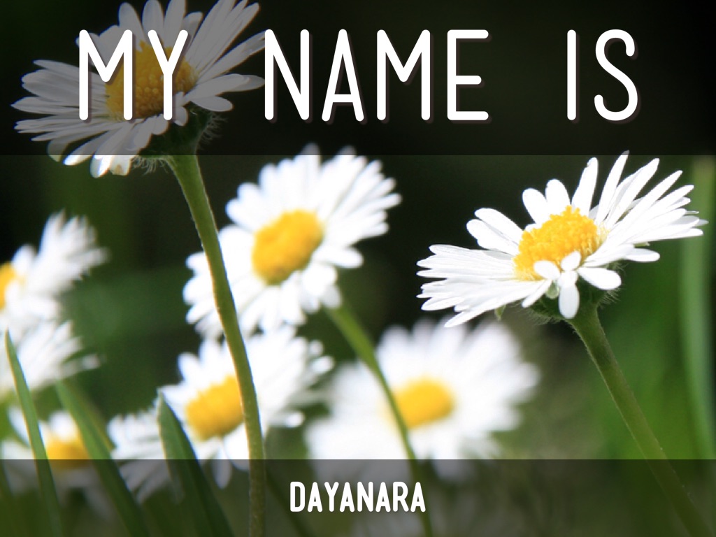 Haiku Deck In Action