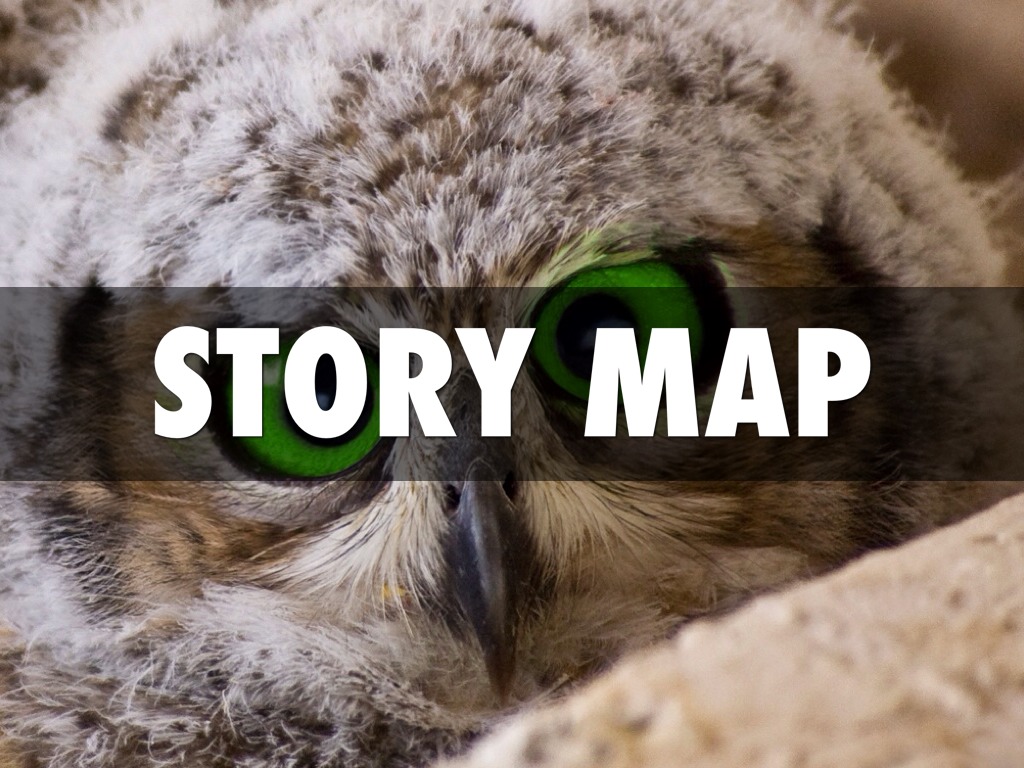 Story Map
