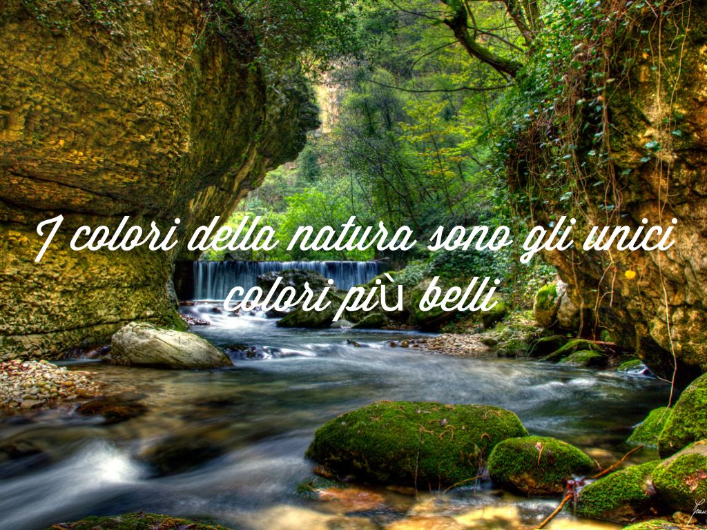 Copia di I Colori Della Natura