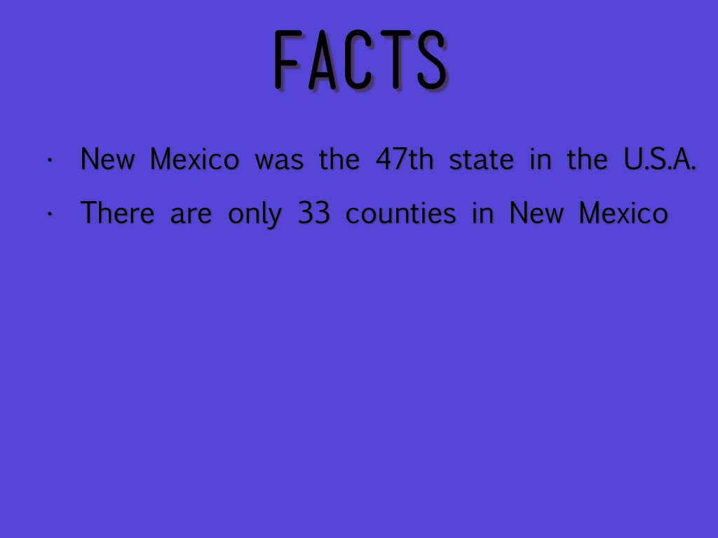 New Mexico by bridgette irland