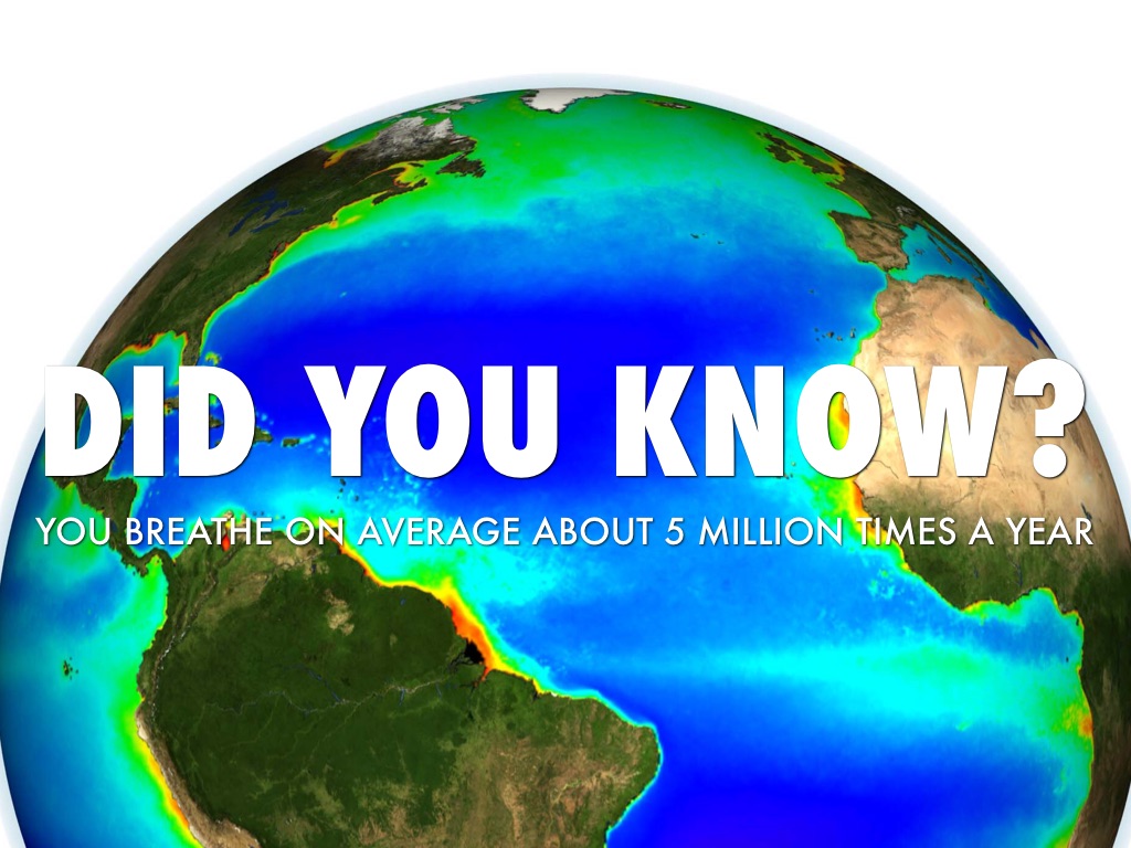 EWAN AND NICKS DID YOU KNOW