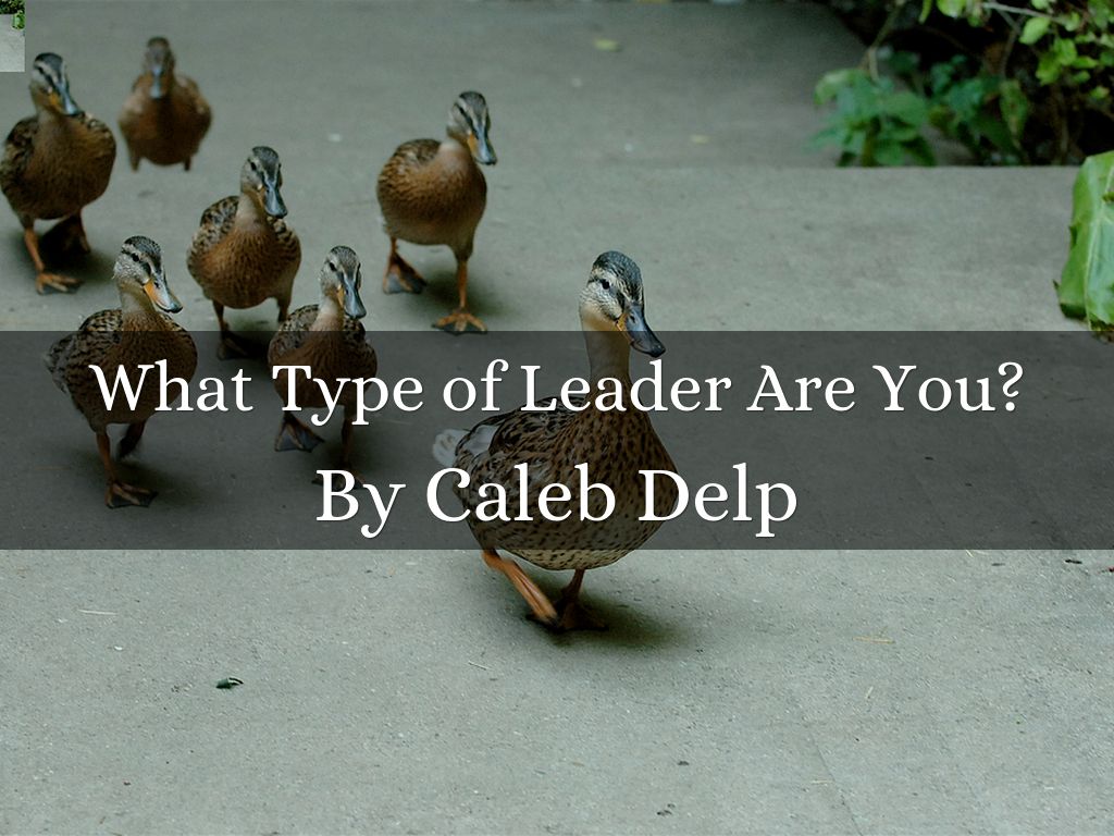 Copy of What Type of Leader Are You?