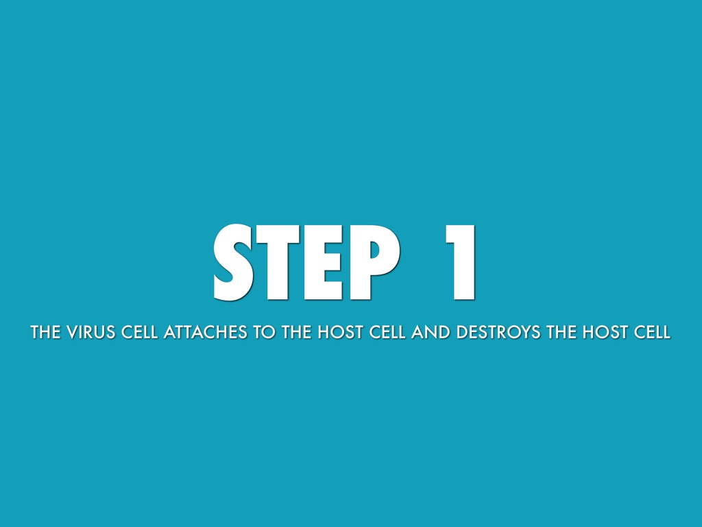 5 Steps Of An Active Virus