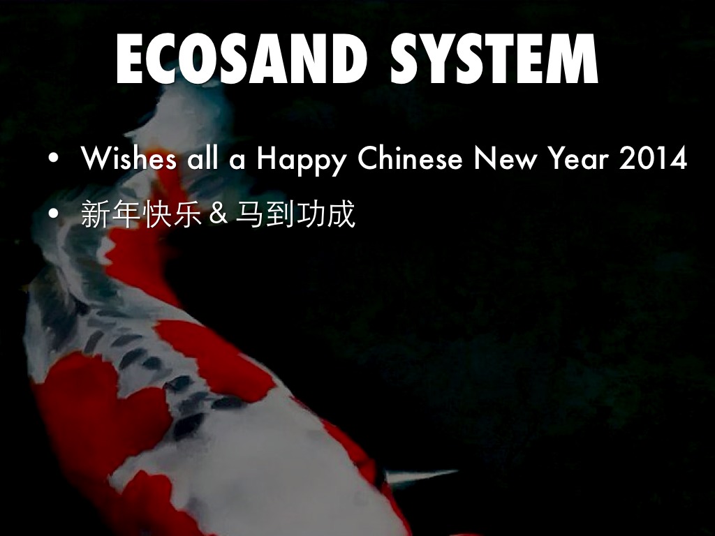 Ecosand System 