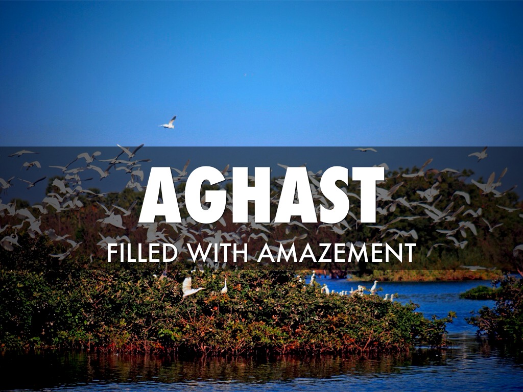 Vocab Unit 5 Evan Miranda