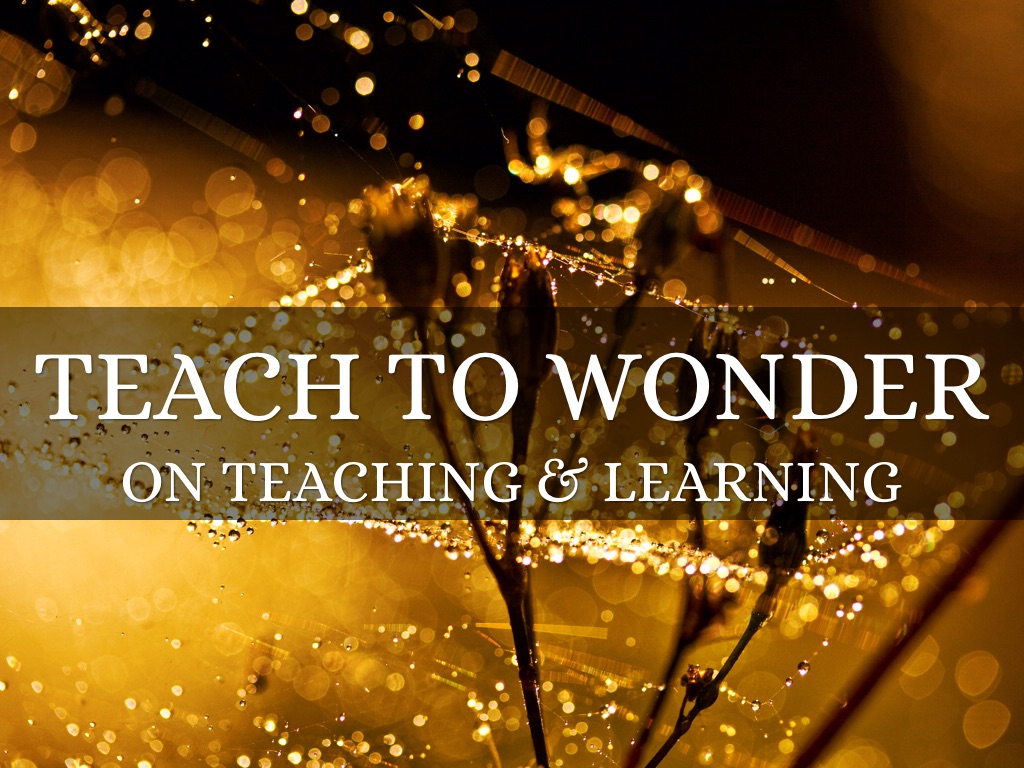 Teach To Wonder