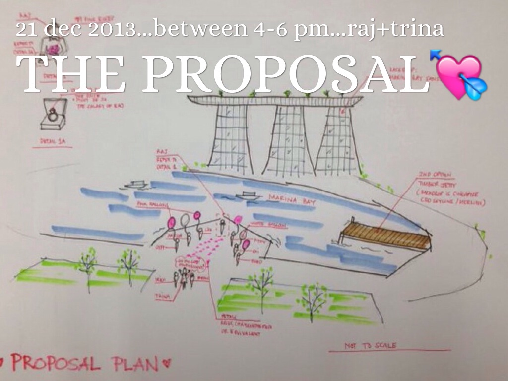 the proposal