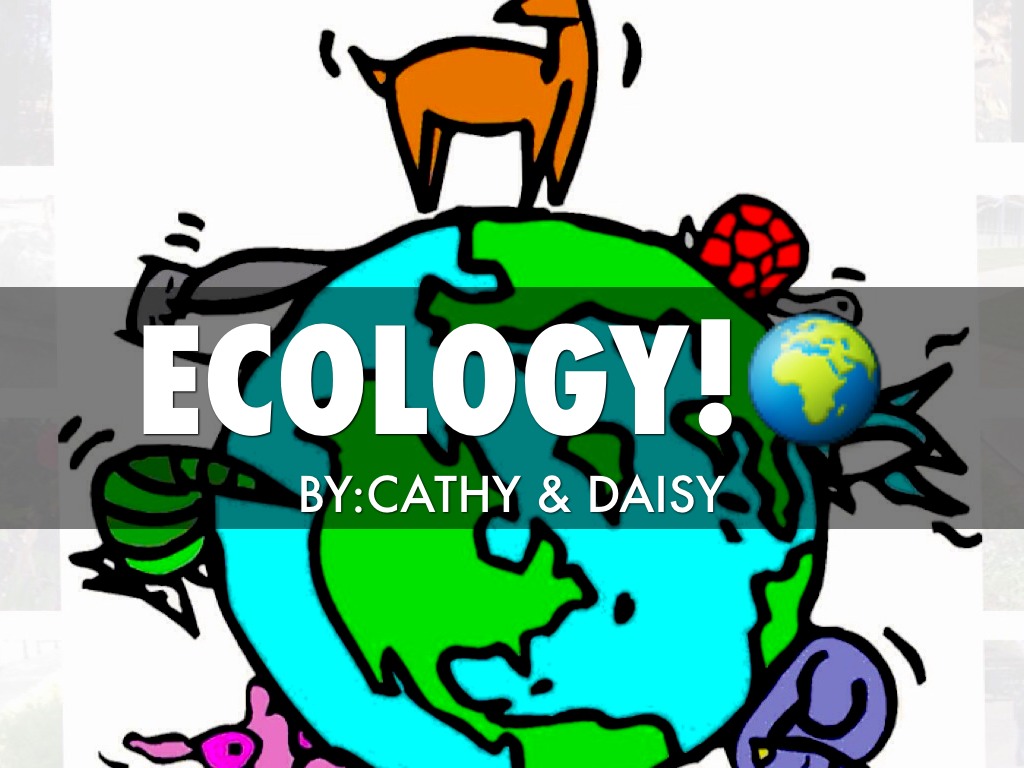 Period 6 Cathy & Daisy Ecology